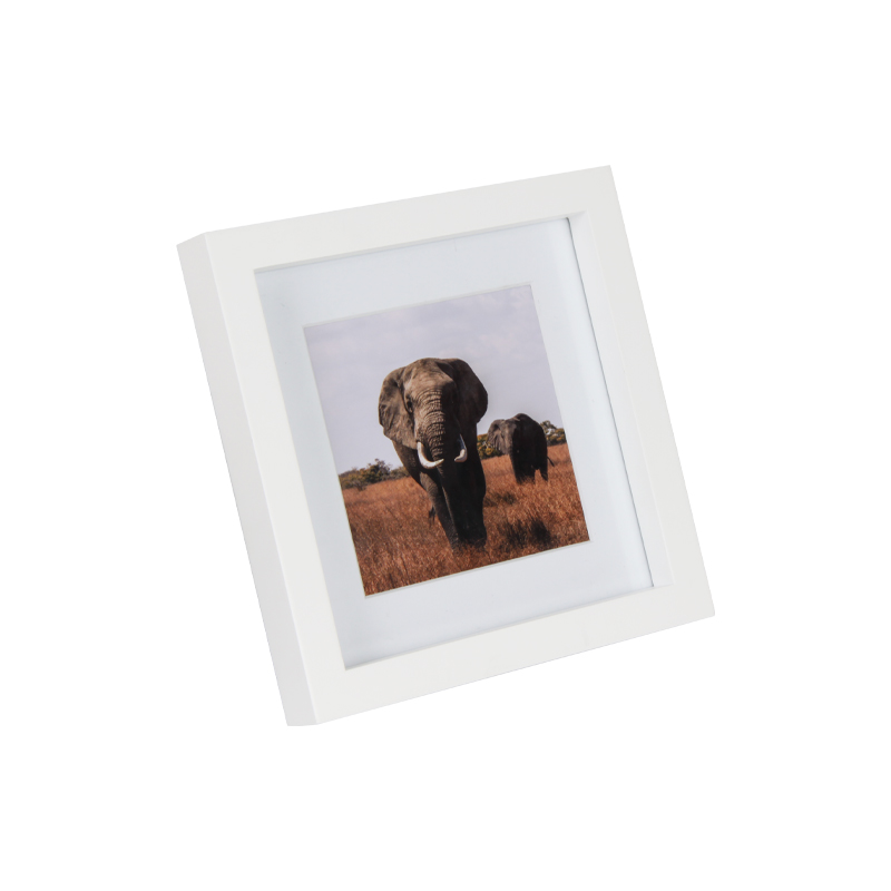 Shadow Box Memory Photo Frame Matted