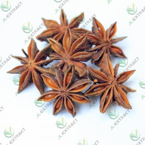 China Fresh Fruit Powder Manufacturers - Star Anise Oil, Star Aniseed Oil   – JL EXTRACT
