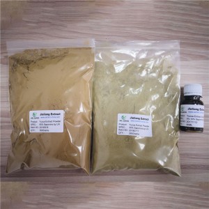 FAMIQS Plant Extracts Factory - Yucca Schidigera Extract  – JL EXTRACT