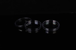 Placas de Petri transparentes com tampas