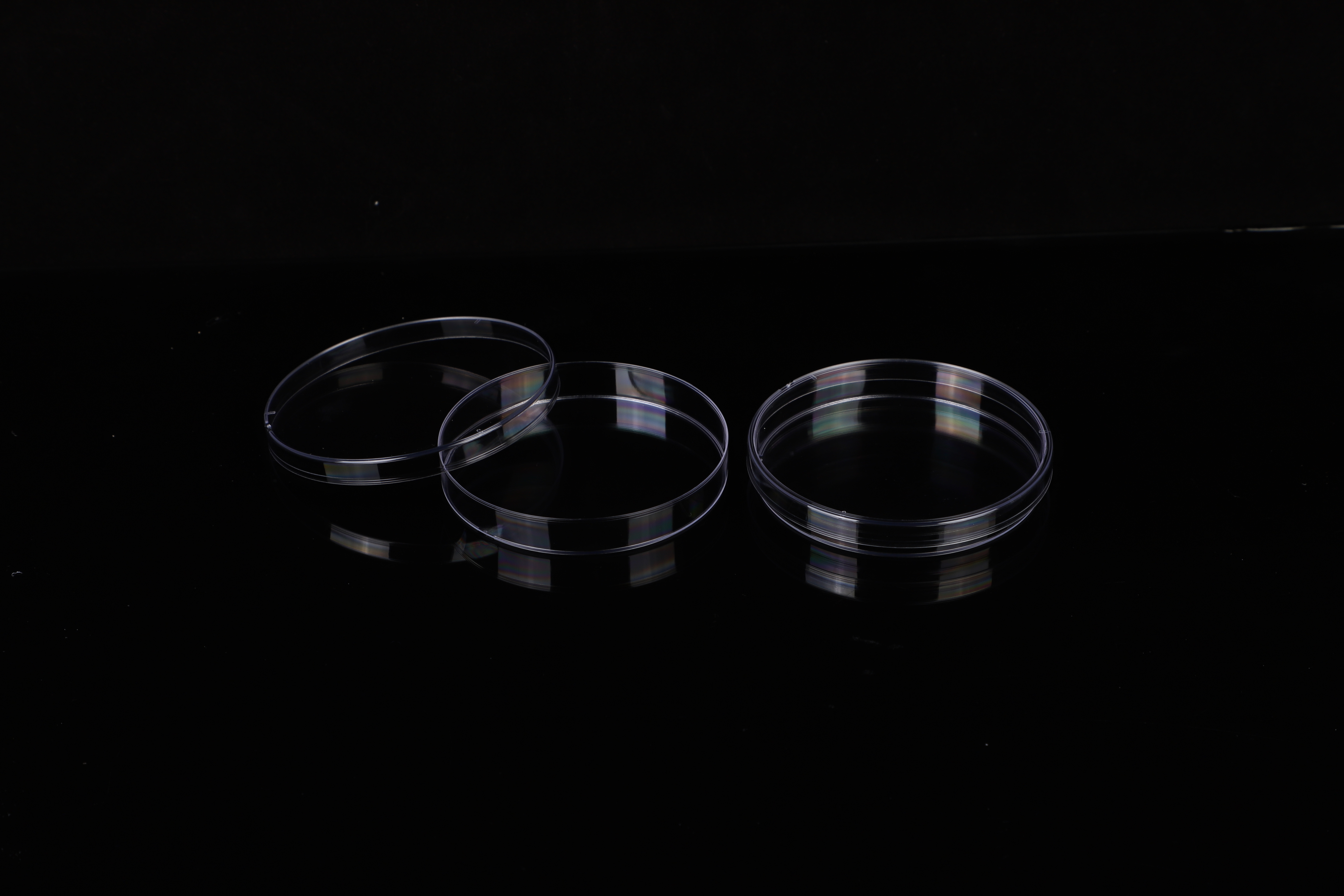 Piastre di Petri trasparenti con coperchi Immagine in primo piano