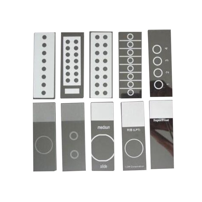 Microscope Slides With Circles