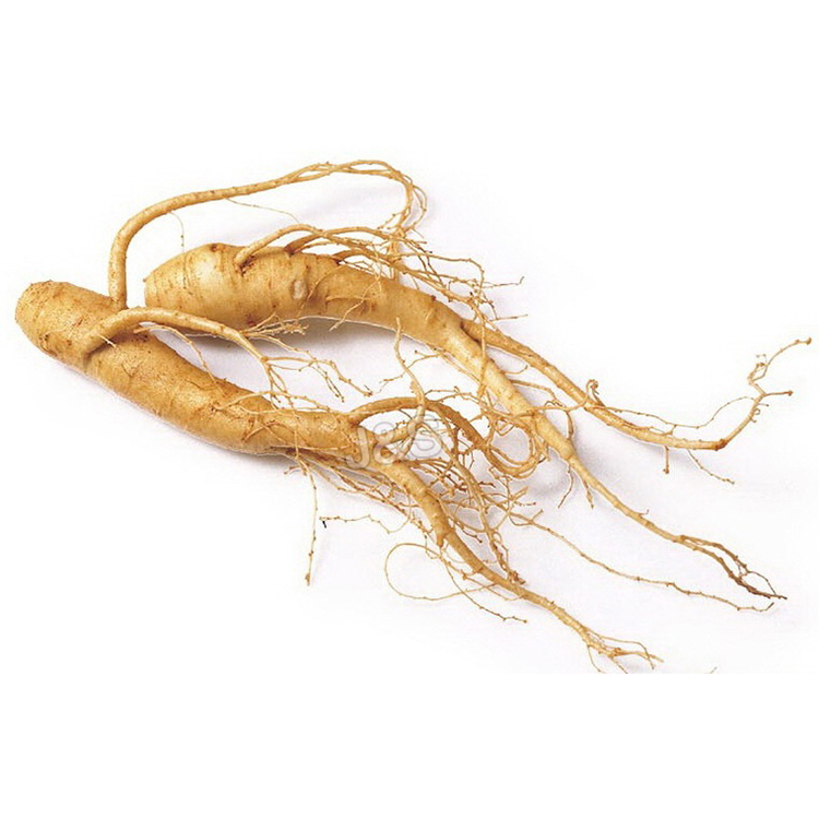 8 Years Manufacturer Organic Ginseng extract Supply to Finland