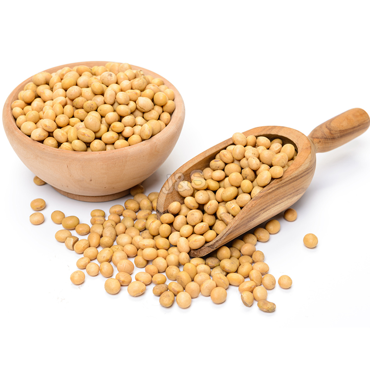Top Quality Soybean extract Factory sa Egypt