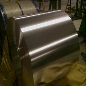 316L Stainless Steel Strip