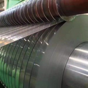 309S Stainless Steel Strip