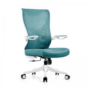 Cel mai bun scaun de birou Staples Mesh Ikea Home Birou Ergonomic