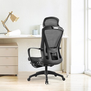 De bêste ergonomyske kantoarstoel foar rêchpine