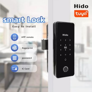 OEM/ODM China Hotel Door Lock - HD-8901 Wifi Sliding Glass Door Lock – Botin