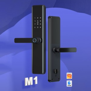 Good Quality Bluetooth Door Lock - HD-8639 Bluetooth/WIFI Smart Door Lock – Botin