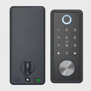 Factory wholesale Smart Lock Schlage - HD-8908 Bluetooth/Wifi Smart Door Lock – Botin