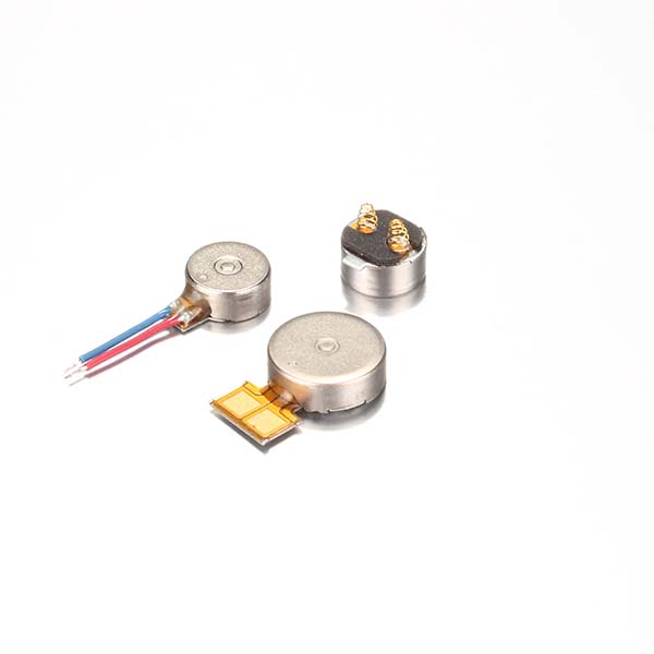 Renewable Design for 100w Bldc Motor Encoder -
 Ordinary Discount ssion Silicone Steel Core Of Vibrator Motor – Leader Microelectronics
