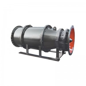 Super Lowest Price 11kw Submersible Pump - SUBMERSIBLE TUBULAR-TYPE AXIAL-FLOW PUMP-Catalog – Liancheng