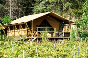 Fabricant de tente de safari en toile imperméable à structure en bois d'hôtel NO.052