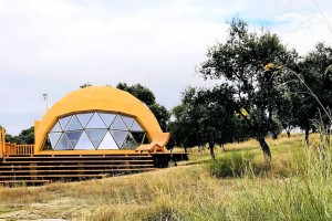 Glamping Dome Tent Модон гадаа майханд тохируулна уу