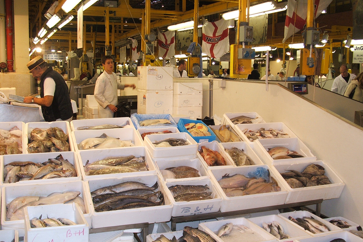 UK Seafood Fund doles out GBP 21 million in grants