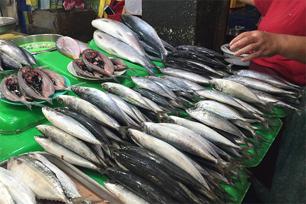 Philippines hikes round scad imports in effort to contain domestic prices