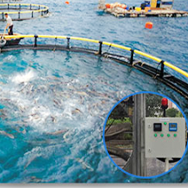 ORP Measurement: An Essential Tool for Water Quality Management