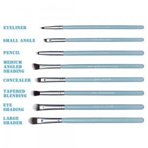 Bottom price Cosmetic Brushes - High quality makeup Eye brushes set – MyColor