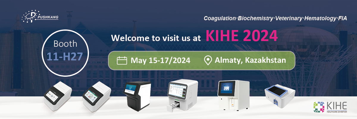 KIHE-Newsletter Banner-EN