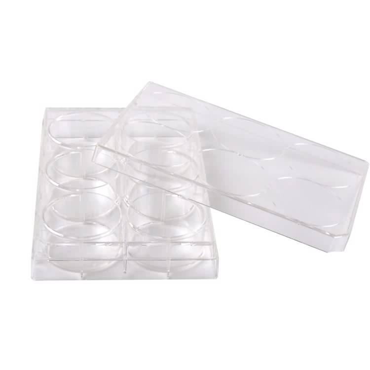 China OEM Hot Sale Two Rooms 9cm Cell Culture Petri Dish -
 Medical lab plastic sterile 6 well tissue cell culture plate manufacturer – Ama