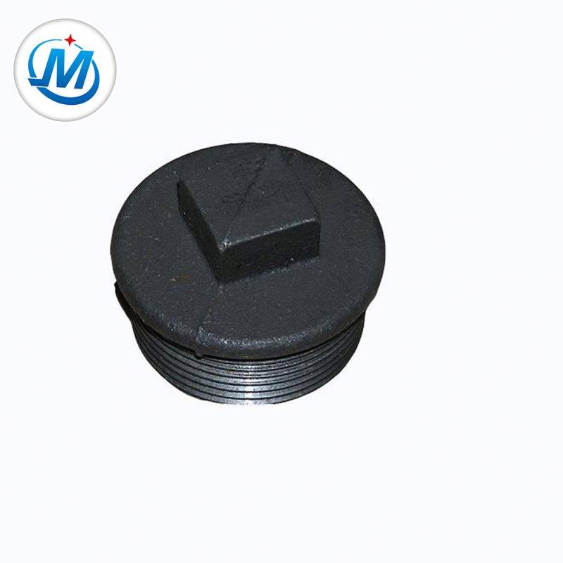 Professional Enterprise For Air Connect As Media G.I. Pipe Fittings Male Stopping Plug