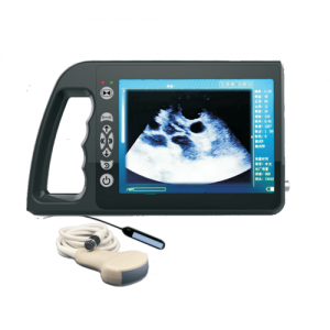 Veterinary ultrasound scanner RT-3000A+