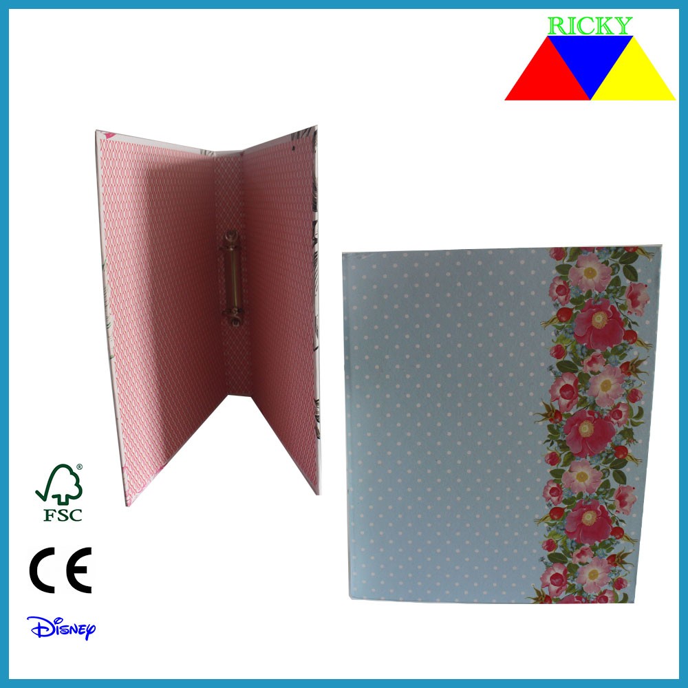 Trending Products Custom Notepad - Ricky FF-R001 2015 New Products High Quality A4 Fc Size 2 inch 3 inch File Box, Box File – Ricky Stationery