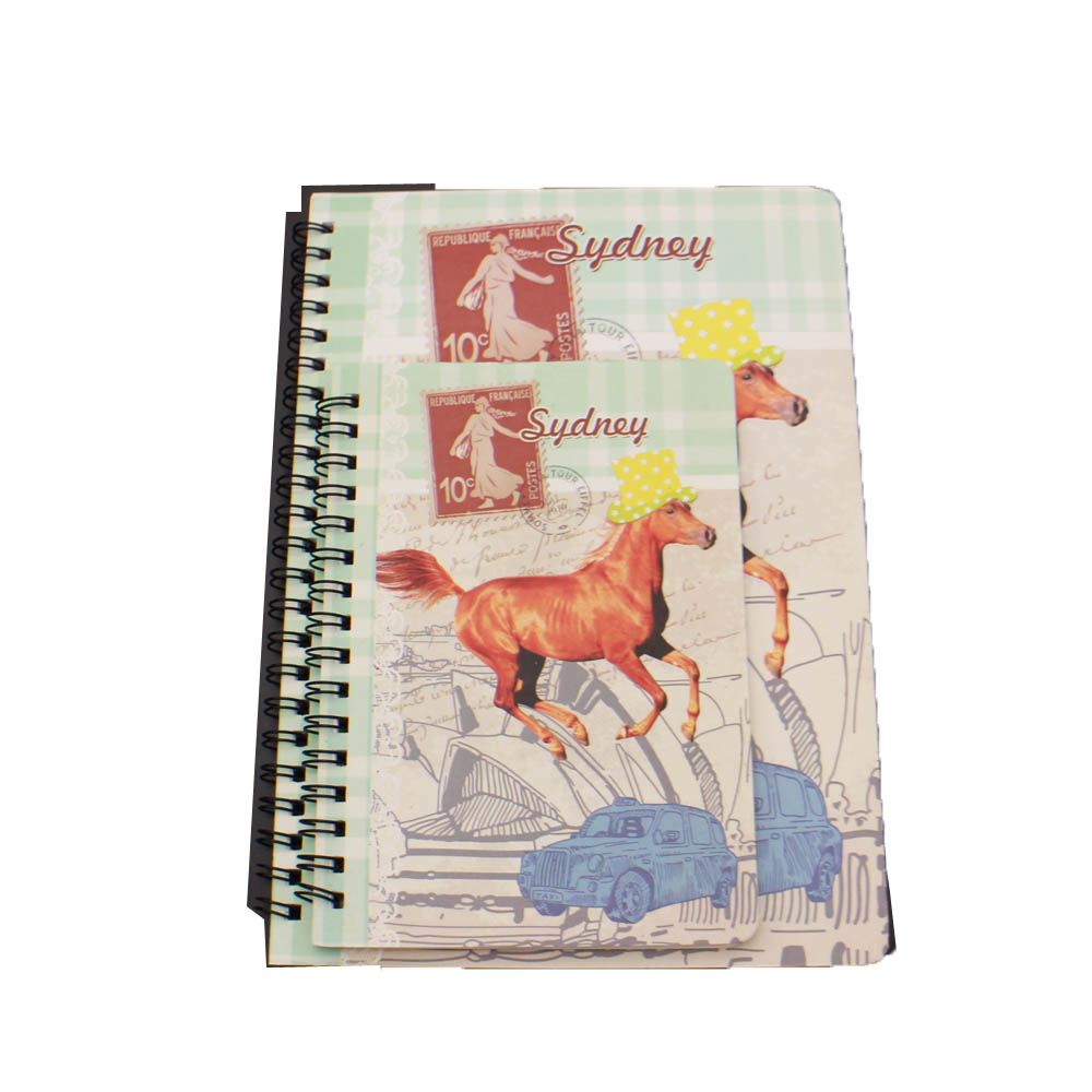 Renewable Design for Back To School Gift - NB-R026 Hot sale cheap spiral notebook – Ricky Stationery