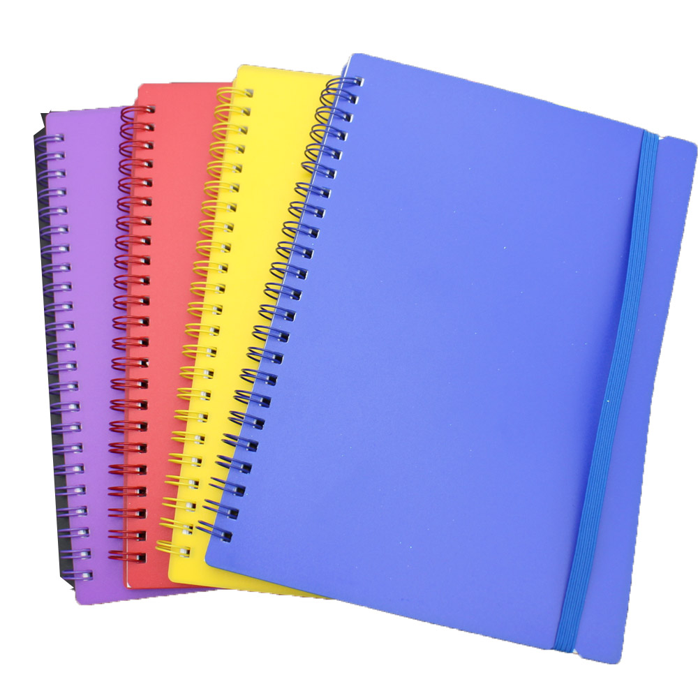 Factory making Stationeries Sets - NB-R024 3D effect PP cover double wire spiral notebook – Ricky Stationery