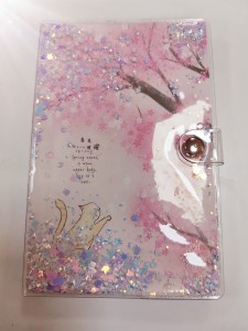 Journal with PVC cover
