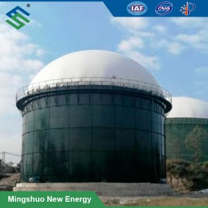 Best quality Anaerobic Fermentation Tank - Anaerobic Digester Plant for Chicken Manure Treatment – Mingshuo