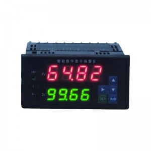 WP Series Intelligent universal input dual-display controllers