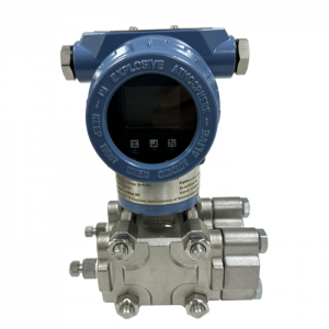 WP3051DP Capacitance Differential Pressure Transmitter