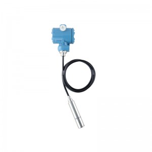 High Quality for Tank Level Transmitter - WP311B Immersion Type 4-20mA Water Level Transmitter – Wangyuan