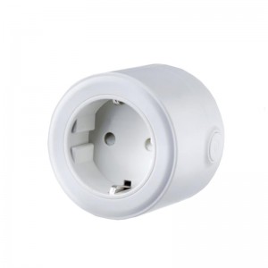 Factory Price For China Smart Home WiFi EU Standard APP Controlled Socket Plug Pin