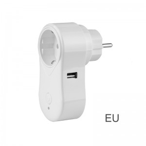 Leading Manufacturer for Tuya Smart Plug WiFi Smart Socket with USB Socket Type-C EU Power Outlet