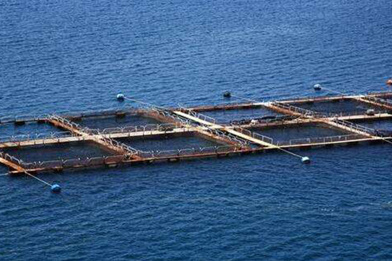 Le rôle de plusieurs indicateurs physiques et chimiques conventionnels en aquaculture