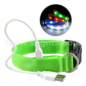 Speciale prijs voor China Aangepaste groothandel huisdieraccessoire Kat knipperlicht LED USB halsband en riem