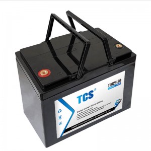 Energy Storage  Lithium Ion Battery TLB24-30