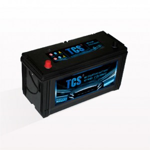 TCS car vehicle battery sealed maintenance free SMF 95E41R