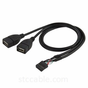 10 Pin Motherboard Female Header to Dual USB 2.0 Female Adapter Cable