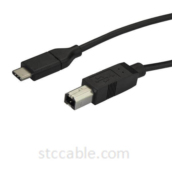 USB-C to USB-B Cable – Male to Male – 2 m (6 ft.) – USB 2.0