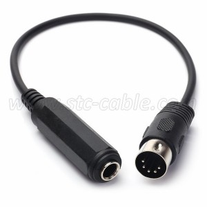 5 Pin Din Male to Monoprice 6.35mm Female TRS Stereo Audio Extension Cable