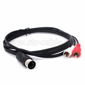 5 Pin Din Male Plug to 2 RCA Male Audio Adapter Cable