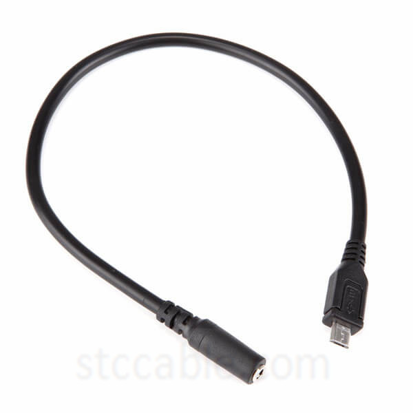  GLHONG Micro USB to 3.5mm Male to Female Auxiliary Cable, 30cm  : Electronics