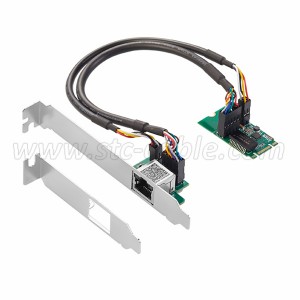 Single Port M.2 M+B key Gigabit Ethernet Card