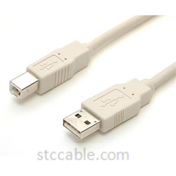 10 ft Beige A to B USB 2.0 Cable – Male to male