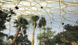 Building with ETFE architecture