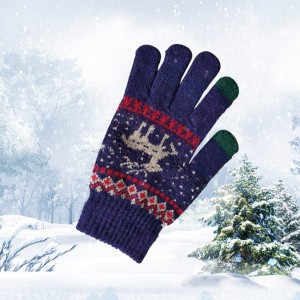 Ritenga Moko Winter Knit Gloves Mata Paa Weamaha Ngaawari Elastic Cuff Kuputuhi Karati Anti-paheke mo nga Wahine Taane